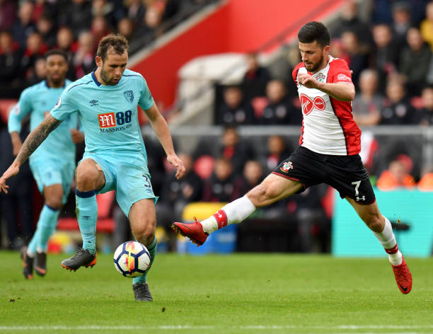 特维斯本人 特维斯本人